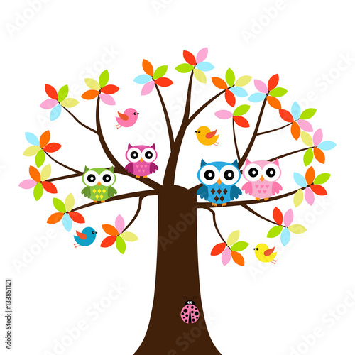 four Owls sitting on tVector set of a colorful owls at the treehe branch photo