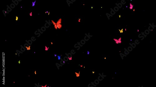 Butterflies Fly Overlay 1 - (Alpha Channel)