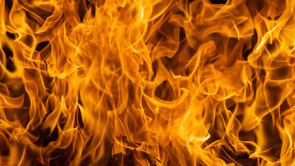 Blazing fire flame background and textured