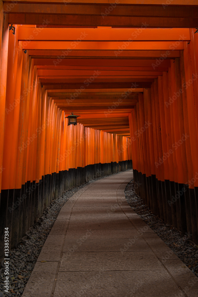 Fototapeta premium Japanese Torii