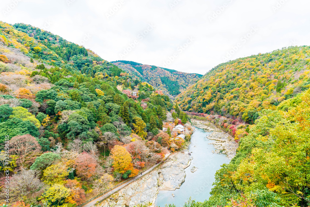 view point of the river and forest in autumn season at arashiyam