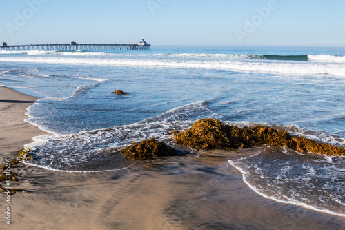Seaweed on beach with waves and the Imperial Beach fishing pier in the background.