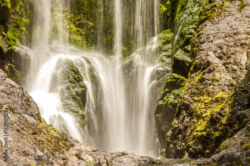 Fototapeta Naklejka Na Ścianę i Meble -  beautiful water fall in forest, new zealand, waipu, piroa falls