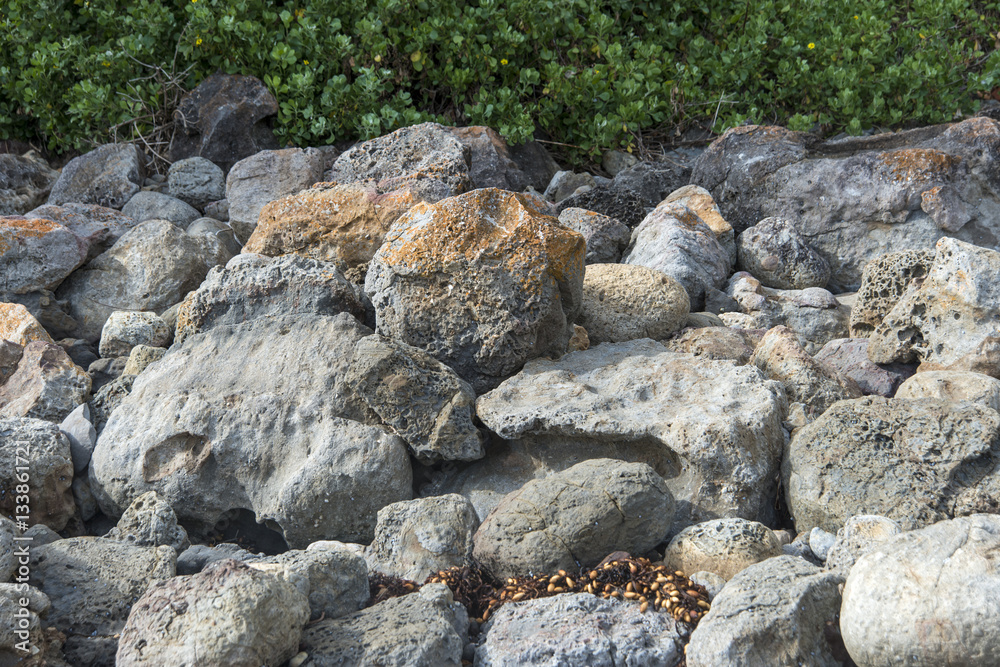 Rocks piled up beach plants copyspace.