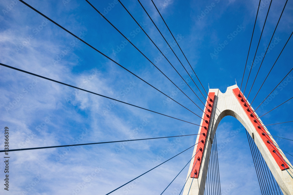 Obraz premium Nhat Tan Bridge (or Vietnam - Japan Friendship Bridge),the cable-stayed bridge crossing the Red River (Asia) in Hanoi, inaugurated on 4 January 2015