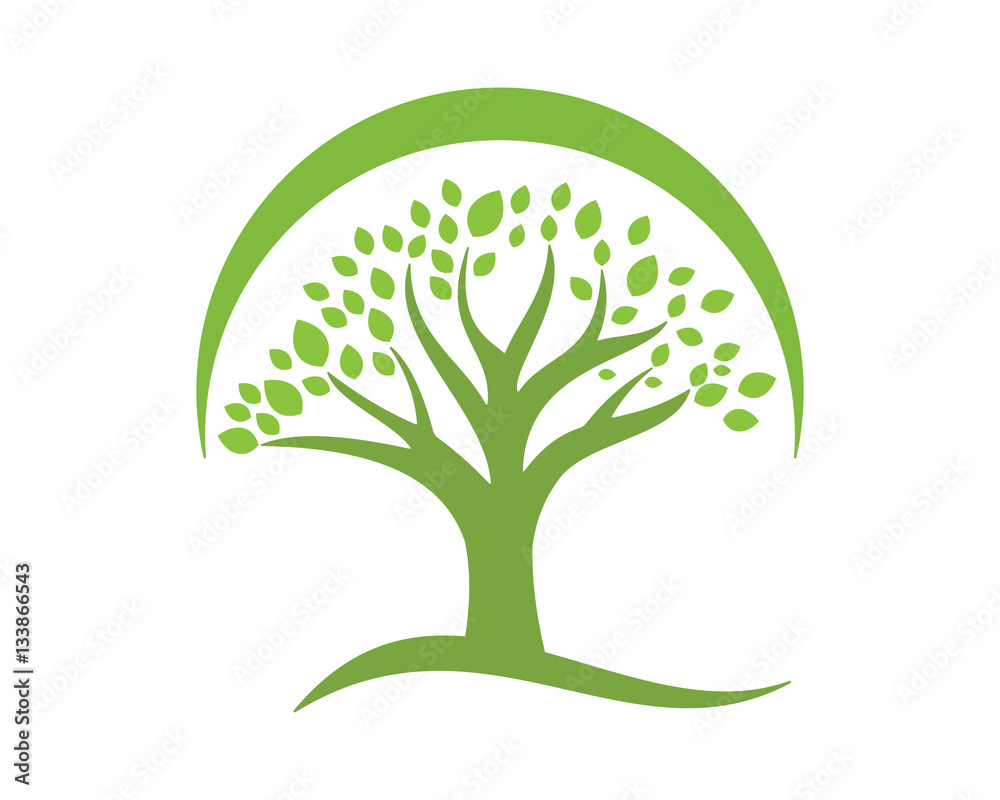 green tree plant icon