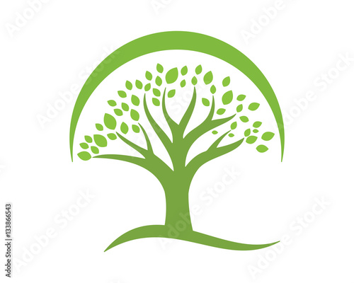 green tree plant icon