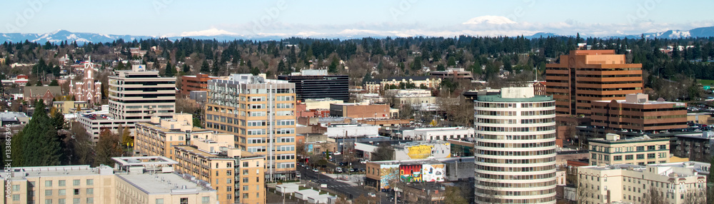 Fototapeta premium Downtown View