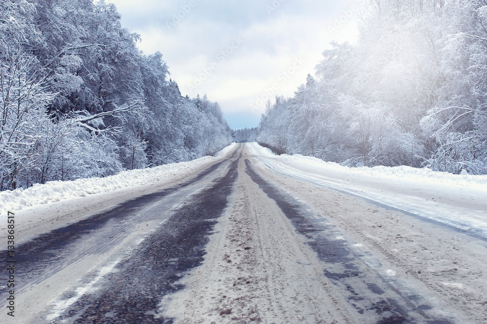 Obraz premium landscape in the winter forest with snow covered wilderness