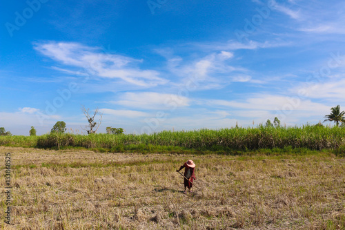  farmer working in  the field © orathai