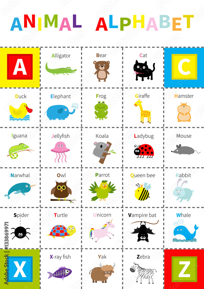 Animal zoo alphabet poster. Cute cartoon character set. Isolated. White background Flat design. Baby children education. Alligator, bear cat duck, elephant frog giraffe hamster iguana