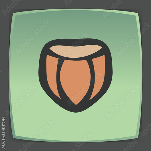 Vector outline hazelnut icon. Modern infographic logo and pictogram.
