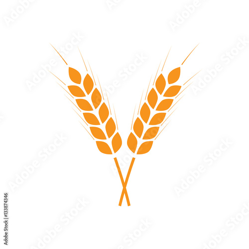 Wheat ears or rice icon. Crop, barley or rye symbol isolated on white background. Design element for beer label or bread packaging. Vector illustration.