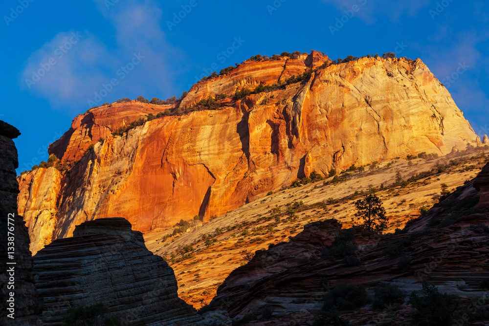 Fototapeta premium Zion