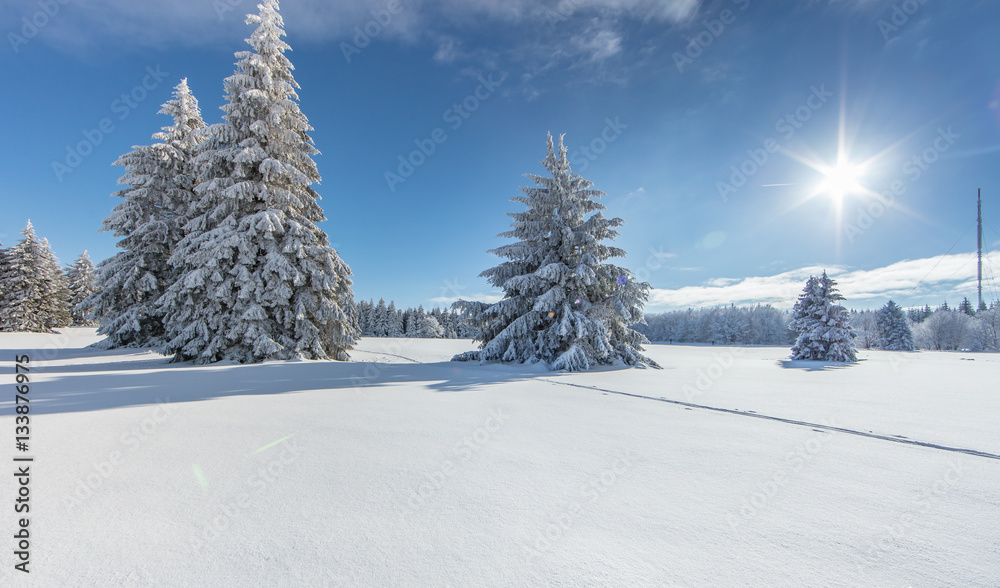 Obraz premium winterzauber