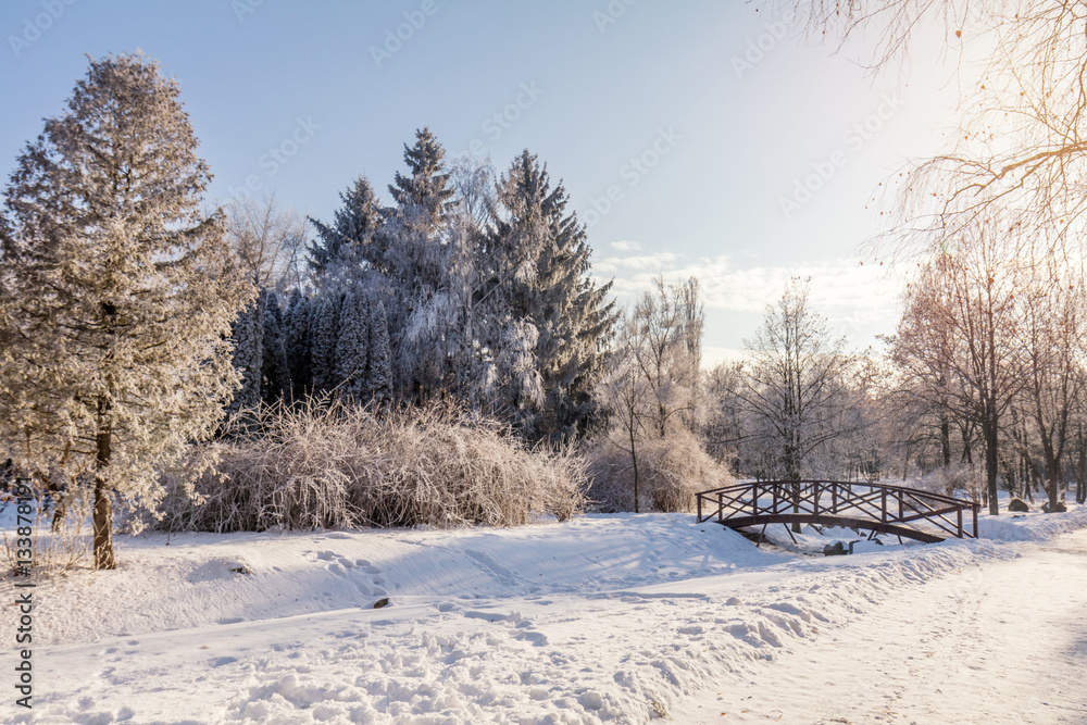 Fototapeta premium Winter landscape of frosty trees, white snow and blue sky