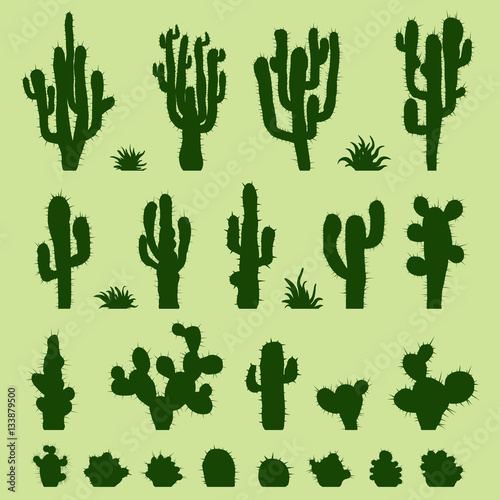 Set of green cacti