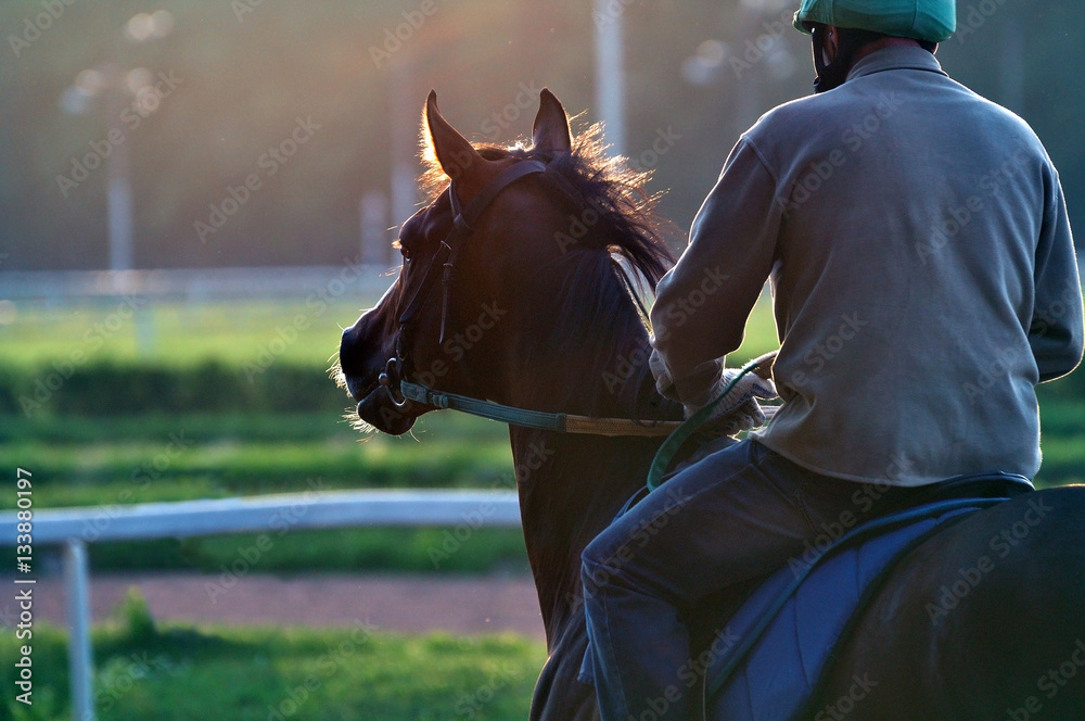 Race horse and the rider early in the morning on a hippodrome