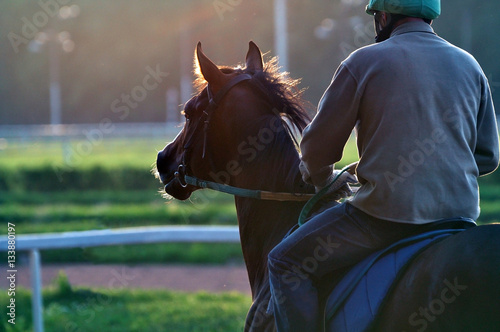 Obraz na płótnie Race horse and the rider early in the morning on a hippodrome w salonie
