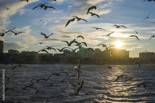 Закат на Черном море, город Геленджик, чайки в лучах солнца