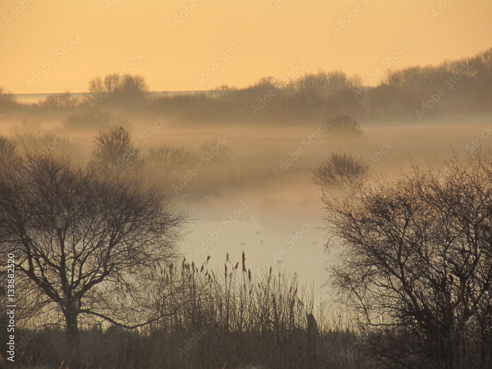 Fototapeta premium sun and fog