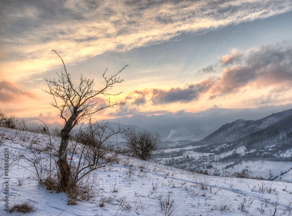 Winter Landscape Sunrise with Lonely Tree and Winter Cloudy Sky Winter Landscape Sunrise with Lonely Tree and Winter Cloudy Sky