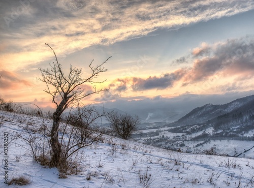 Winter Landscape Sunrise with Lonely Tree and Winter Cloudy Sky