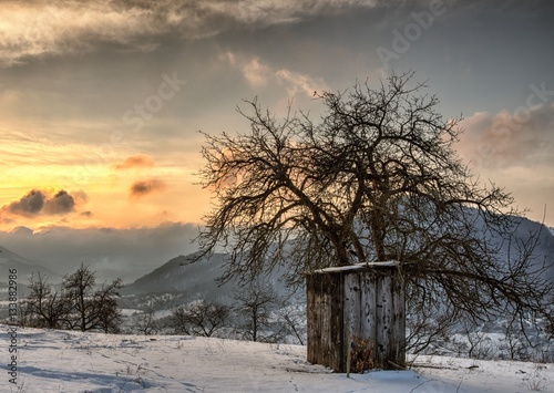 Winter Sunrise Landscape with Old Wooden Sheds and Trees Under Morning Winter Sky