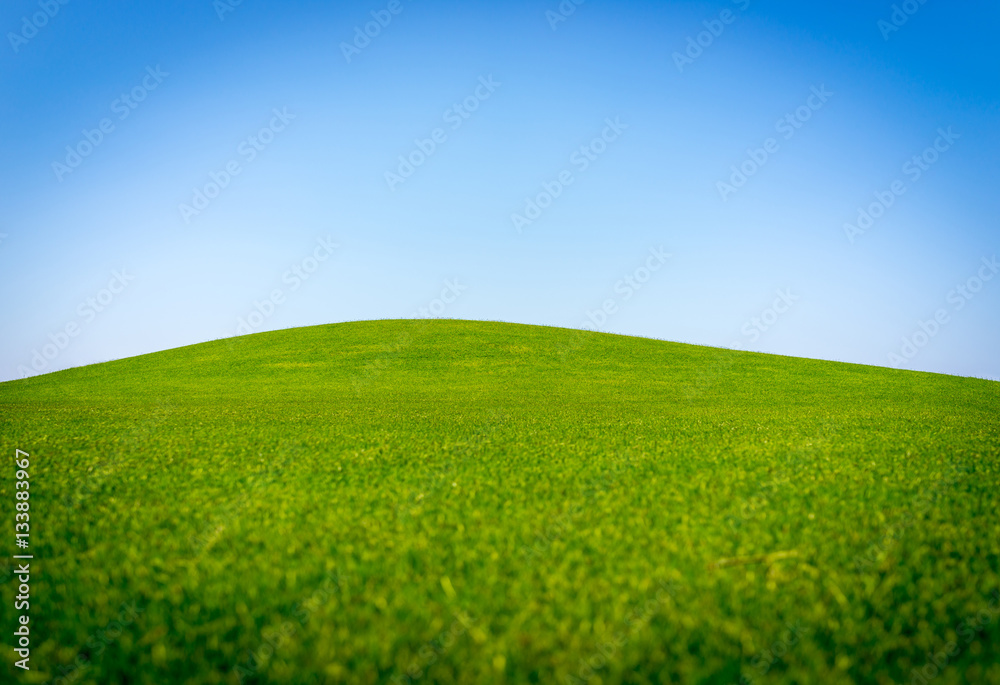 Naklejka premium Perfect grass meadow