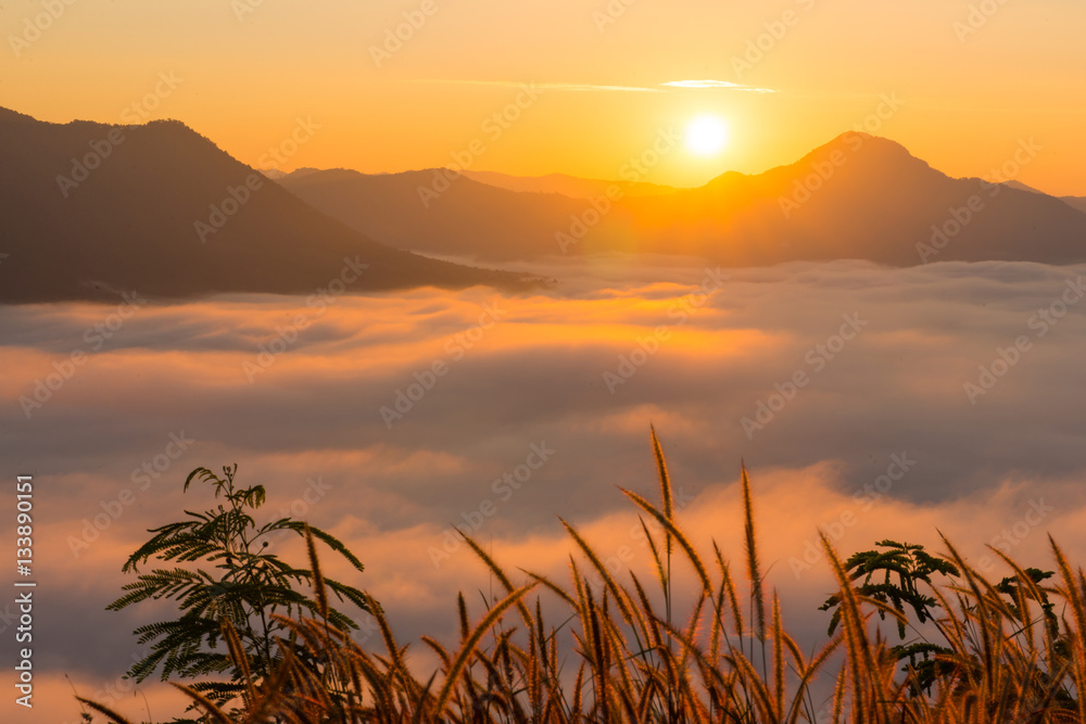 Obraz premium beautiful sunrise with mist in the morning at Phutok