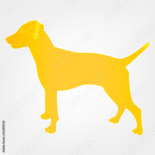 yellow dog
