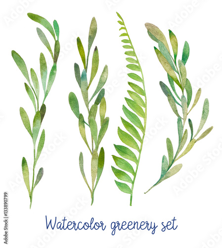 Watercolor greenery set. Hand drawn wild green plants isolated on white background.