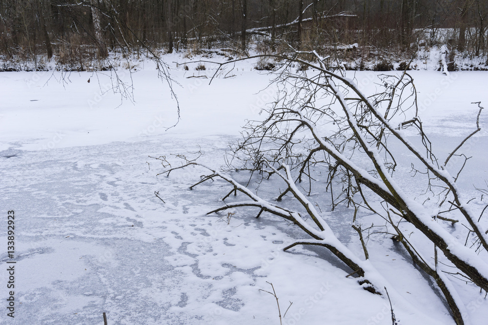 Kuhsee im Winter StockFoto Adobe Stock