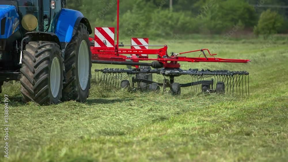 A blue tractor is working out in the fields on a mown glass and with the help of the rotary hay rakes a farmer is preparing hay.
