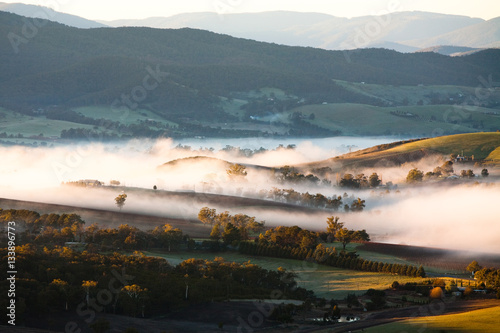 Yarra Valley Fog at Sunrise