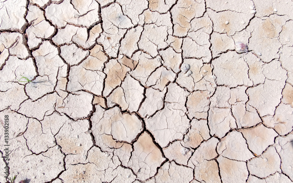 top view soil cracked texture top view soil cracked texture