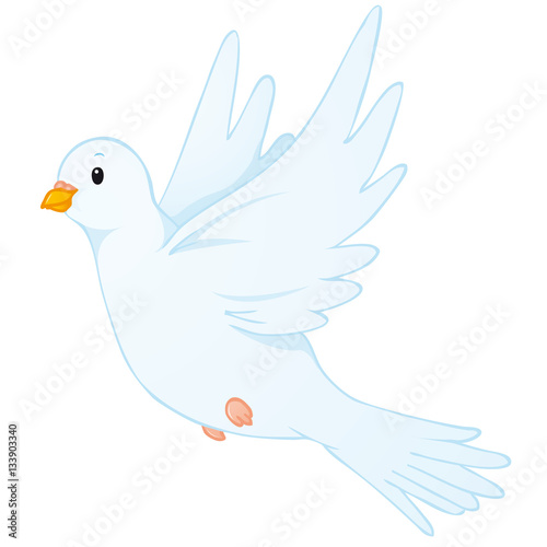 Peace dove 