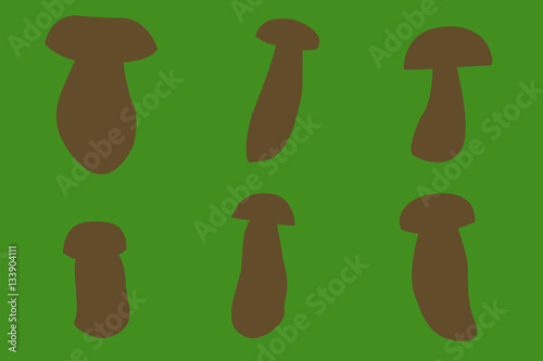 six outines of porcino mashrooms with green background