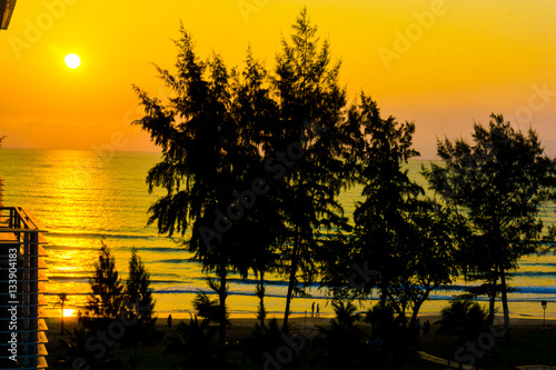 Silhouette of pine trees on colorful morning sunrise