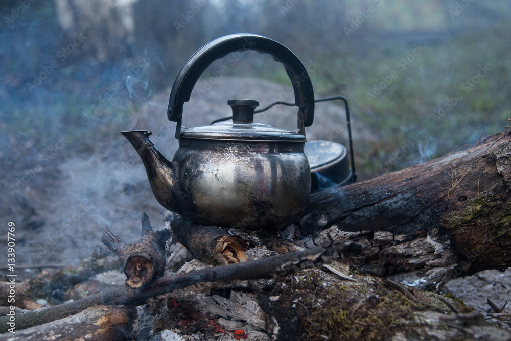 Cauldron boils on the fire in the forest Cauldron boils on the fire in the forest