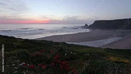 Pink sunset ocean scenery with flowers in front and summer Odeceixe beach (Aljezur, Algarve, Portugal).
