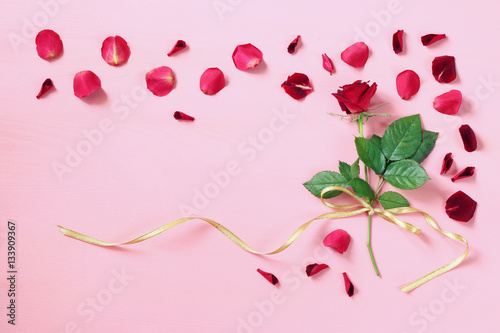 Top view of red rose on pastel pink background