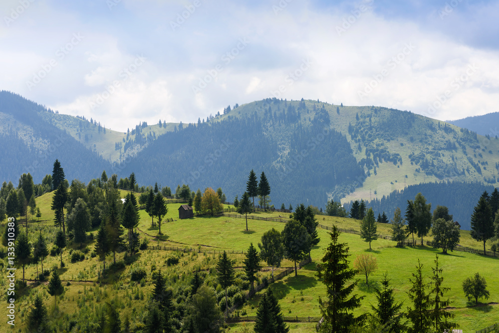 Mountain landscape in bucovina with green fields, pines and a small house, romania