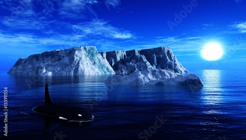 iceberg in the ocean, killer whale in sea ice 