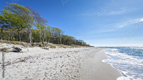 Fototapeta Naklejka Na Ścianę i Meble -  Weststrand - Darss - Fischland | Ostsee
