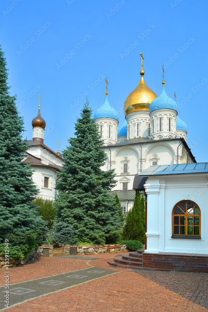 Moscow. Novo-Spassky monastery