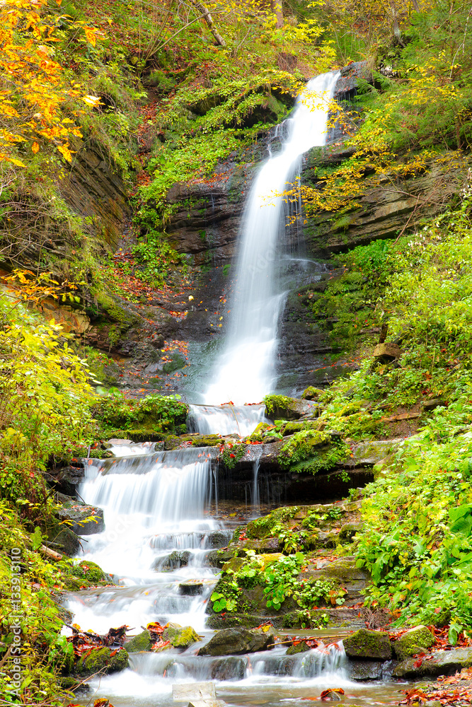 Obraz premium beautiful waterfall in the forest