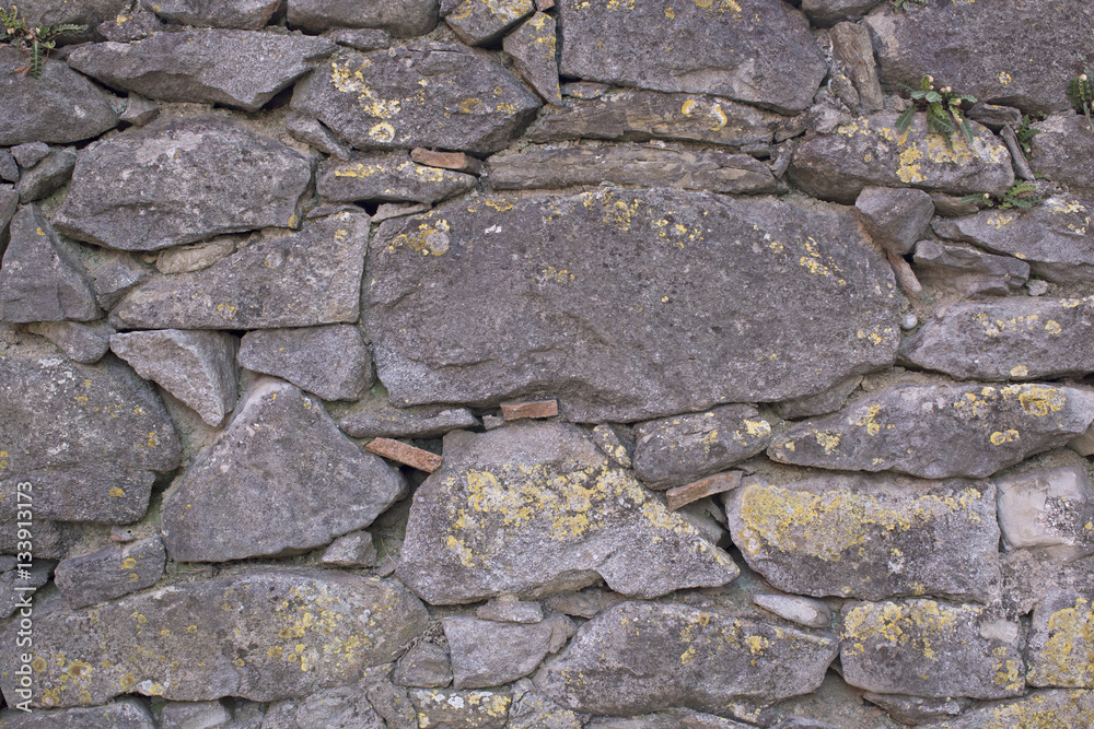 Obraz premium Natursteinmauer