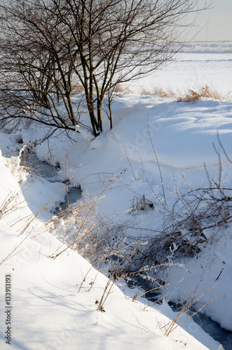 Winter landscape