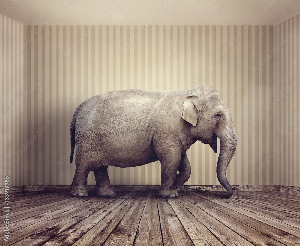 Elephant in the room metaphor for business problem